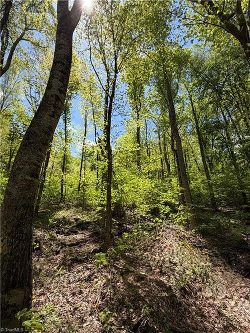 Lot#28 Bluff Ridge Road, West Jefferson, NC, 28694 | Card Image