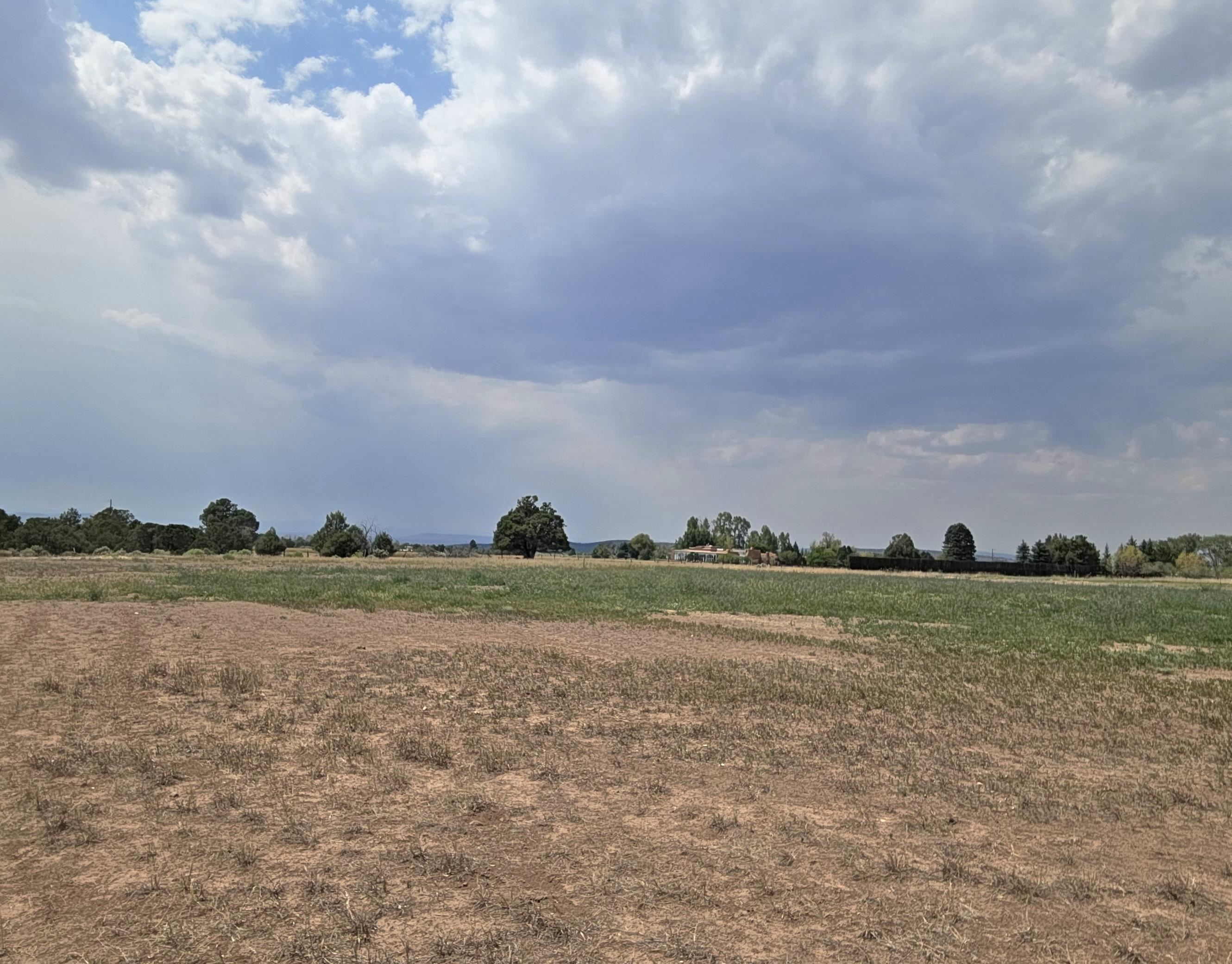 Land in Arroyo Seco 2