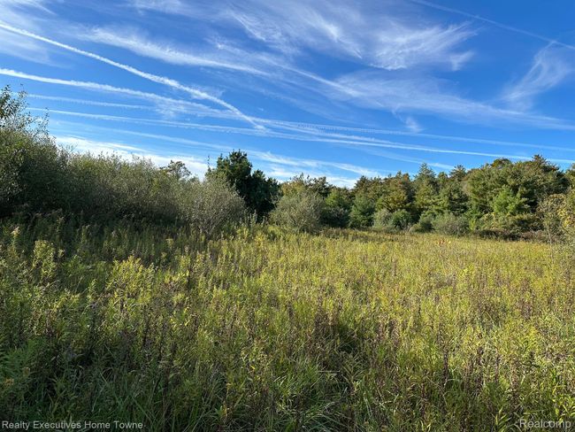 000 Wildcat Rd, Home with 0 bedrooms, 0 bathrooms and null parking in Jeddo MI | Image 8