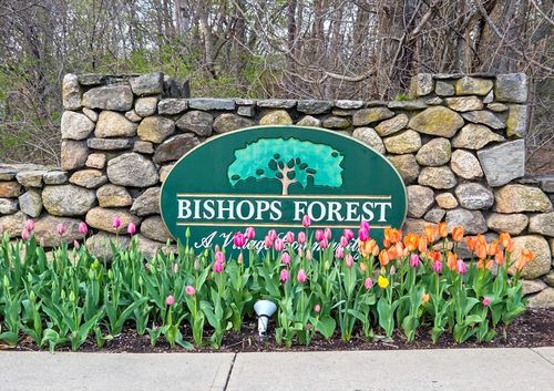 231-231 Bishops Forest Dr, Waltham, MA, 02452-8804 | Card Image