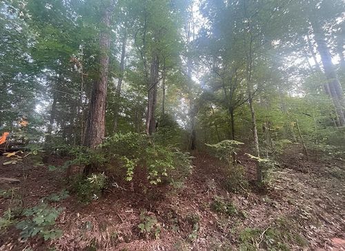 TBD Corvette St, Ore City, TX, 75683 | Card Image