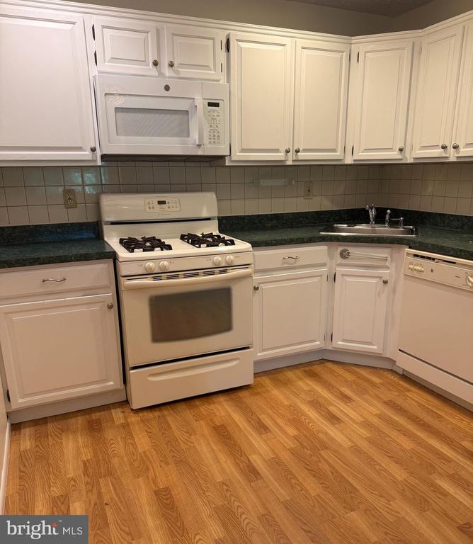 Residential Lease in HAMILTON 4