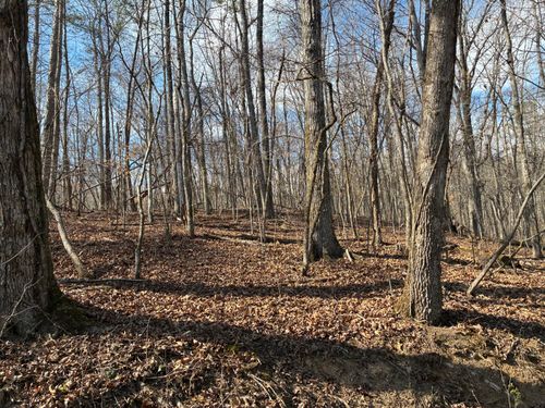 0 Eagle Point Dr, Rockwood, TN, 37854 | Card Image