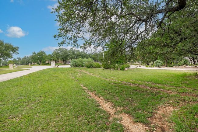View of green lawn | Image 9