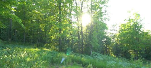 83 Ashwabay Road, BAYFIELD, WI, 54814 | Card Image