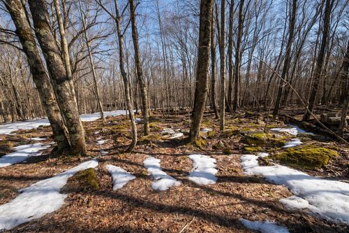 lot-81-luzerne-section-0 E Alpine Dr, Terra Alta, WV, 26764 | Card Image