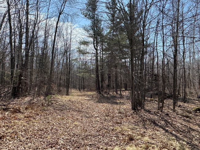 46128 Starch Rd, House other with 3 bedrooms, 1 bathrooms and null parking in Bruno MN | Image 5