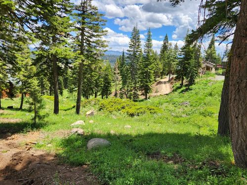 350 Snowshoe Rd, Bear Valley, CA, 95223 | Card Image