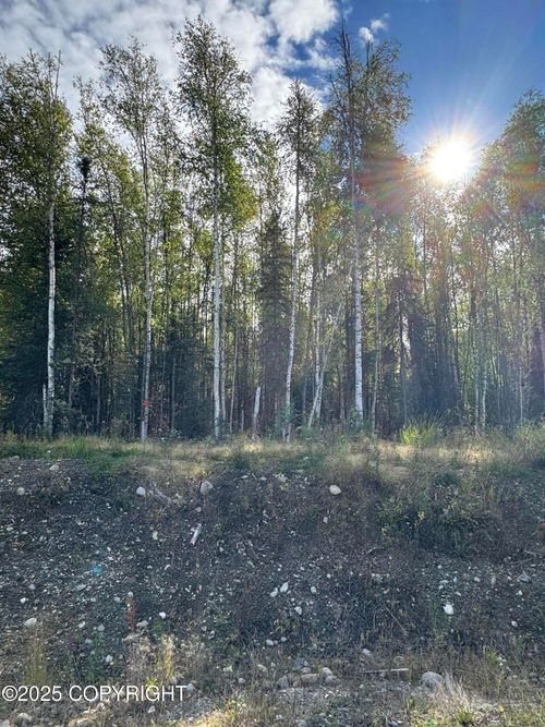 3361 N Carrillo Cir, Wasilla, AK, 99623 | Card Image