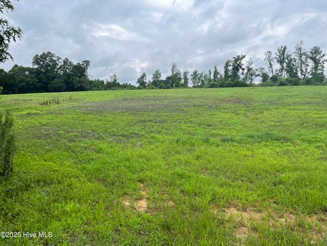 3508 Sheep Pasture Rd, Home with 0 bedrooms, 0 bathrooms and null parking in Spring Hope NC | Image 5