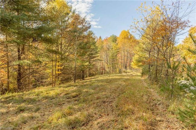 0 Laurel Creek Rd Ne, Home with 0 bedrooms, 0 bathrooms and null parking in Pilot VA | Image 7