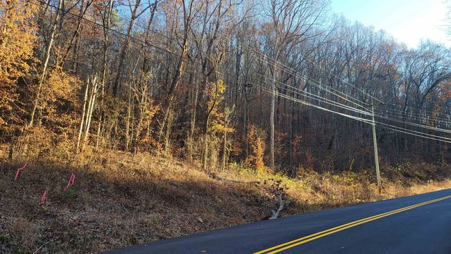 0 Rock Creek Rd, Home with 0 bedrooms, 0 bathrooms and null parking in Eva AL | Image 10