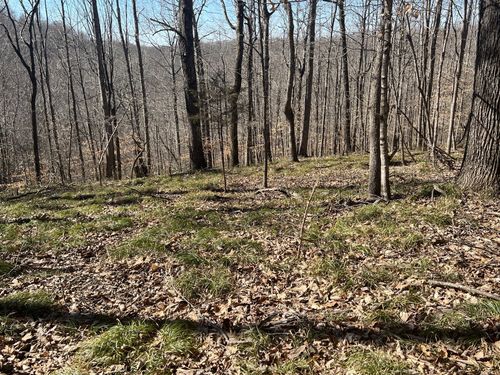 352 Kirby Hill Rd, Ashland City, TN, 37015-9473 | Card Image