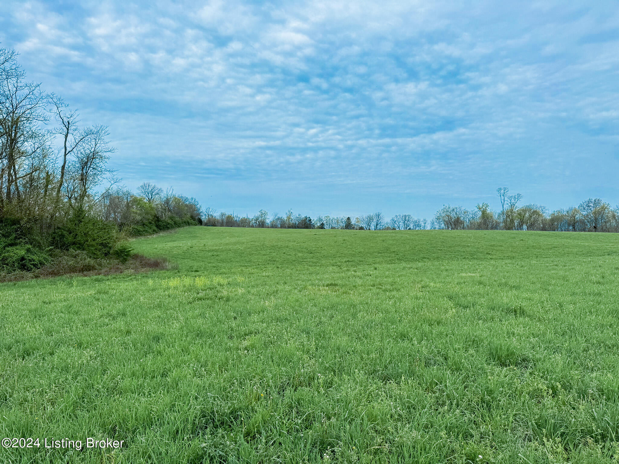 Land in Shelbyville
