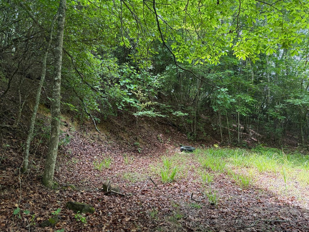 Land in Franklin 4