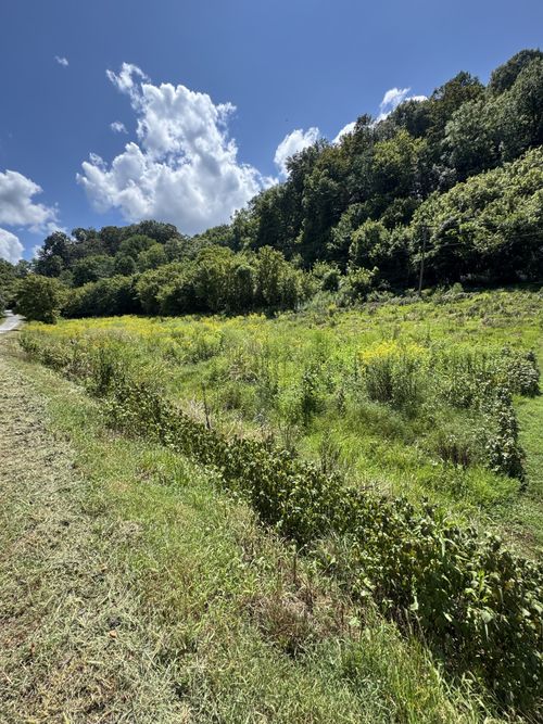 0 Sloan Branch Rd, Pleasant Shade, TN, 37145 | Card Image