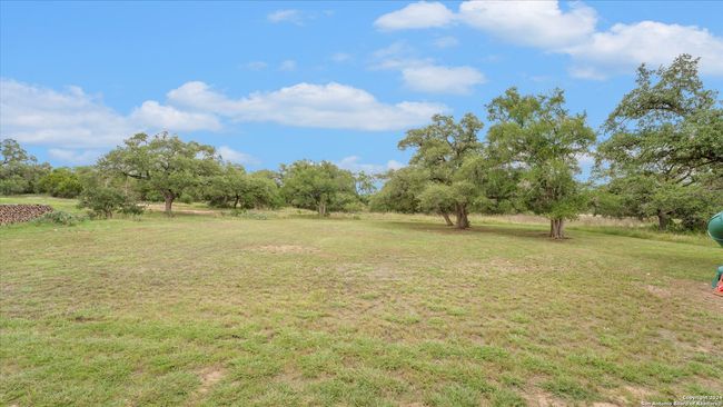 435 Arthur Ct, House other with 4 bedrooms, 3 bathrooms and null parking in Spring Branch TX | Image 29