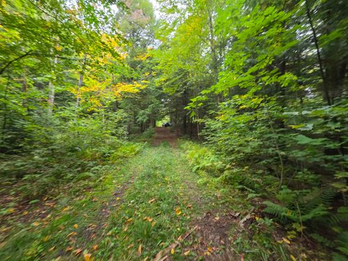 Lot#7 Woodland Drive, Jay, VT, 05859 | Card Image