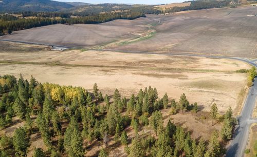 10808 S Jackson Rd, Mica, WA, 99023 | Card Image