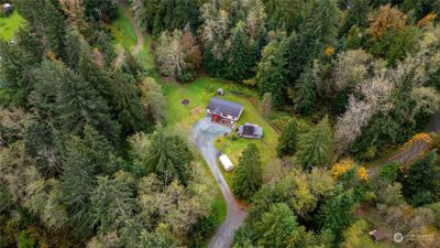 Nestled in a lush, tree-lined setting, this property offers the ultimate private escape for the outdoor enthusiast. Surrounded by acres of vibrant green forest. | Image 2