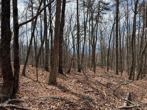 Lot12 Swann Saddle Rd, Sevierville, TN, 37876 | Card Image