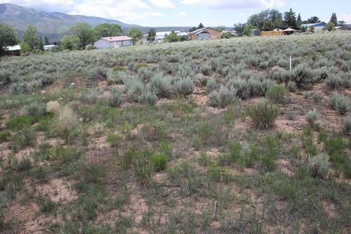 Lot C Shirley Dr, Questa, NM, 87556 | Card Image