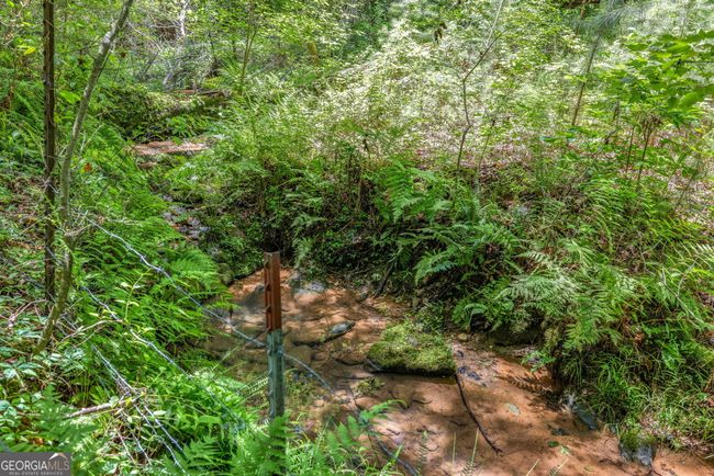177 E Silver Shoals Rd, House other with 3 bedrooms, 2 bathrooms and null parking in Toccoa GA | Image 44