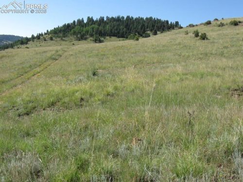 Lot 1-2 Shideler Avenue, Cripple Creek, CO, 80813 | Card Image