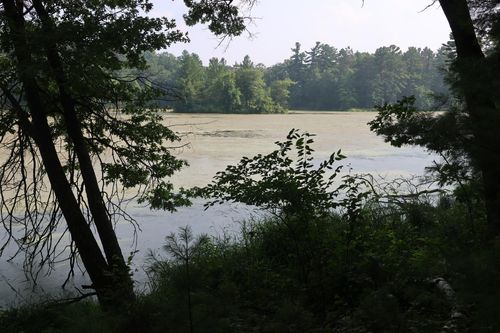 Lot 11 103rd St, Frederic, WI, 54837 | Card Image