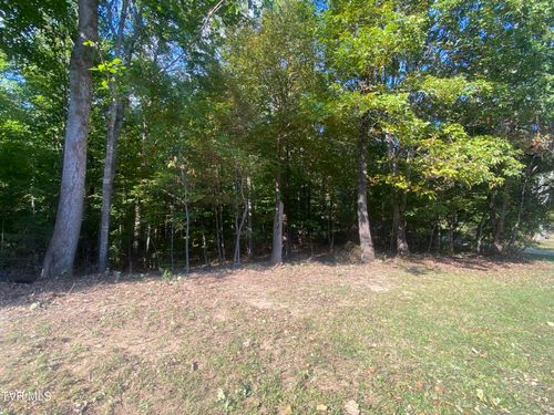 139 Allison Timbers Road, Piney Flats, TN, 37686 | Card Image