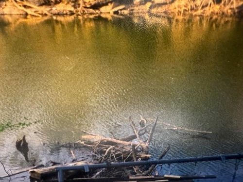 0000 Bream Blf, Athens, AL, 35611 | Card Image