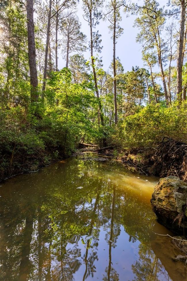 Water view | Image 24