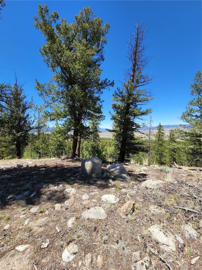 332 Mount Elbert Dr, Home with 0 bedrooms, 0 bathrooms and null parking in Twin Lakes CO | Image 4
