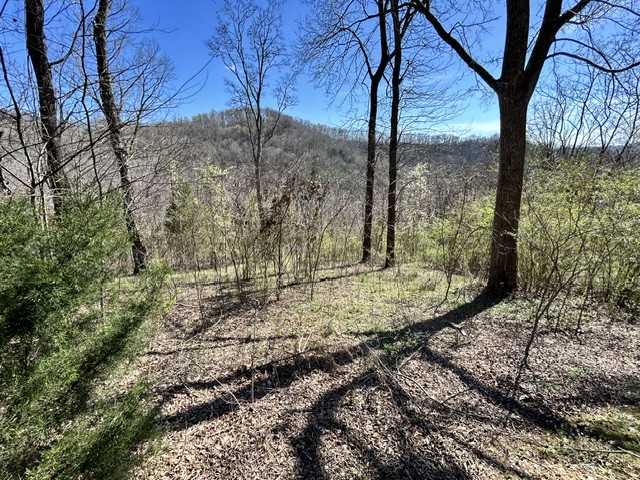 Land in Smithville 3
