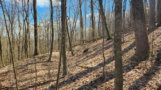 TRACT-2-PIKE-LAKE-GETAWA - 0 Pike Lake Rd, Home with 0 bedrooms, 0 bathrooms and null parking in Bainbridge OH | Image 22