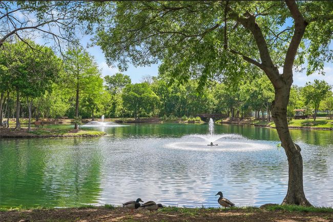 community pond | Image 39