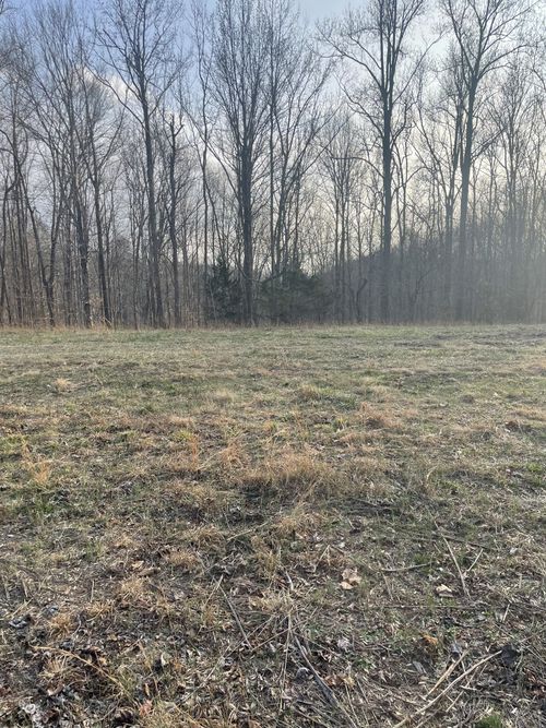 0 Sugar Tree Knob Rd, Liberty, TN, 37095 | Card Image