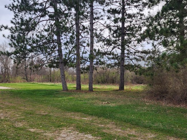 4180 Martus Rd, House other with 2 bedrooms, 2 bathrooms and null parking in North Branch MI | Image 9