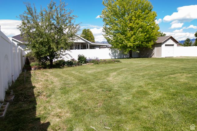 View of yard | Image 37