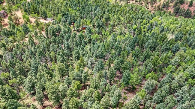 94 Mariposa Cir, Home with 0 bedrooms, 0 bathrooms and null parking in Cripple Creek CO | Image 14
