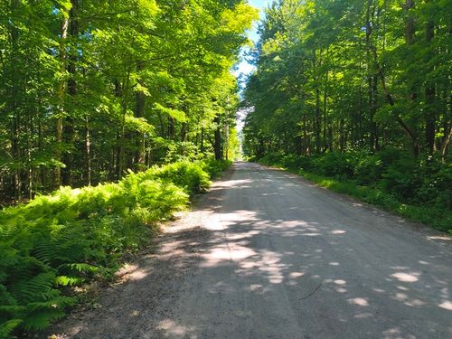 lot1 Holcomb Rd, Chester, MA, 01011 | Card Image