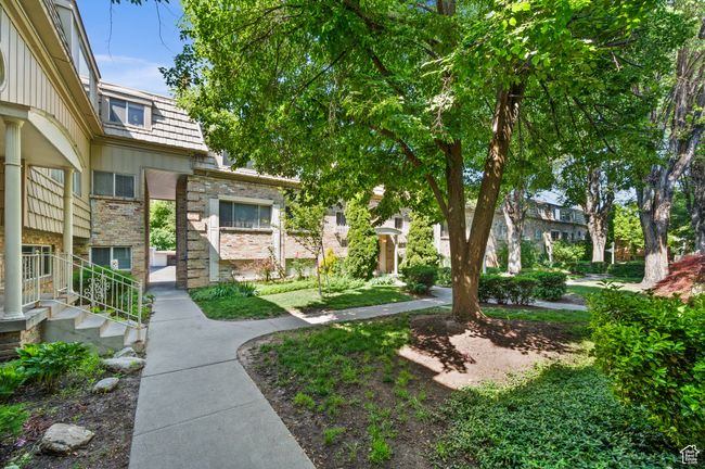 View of yard | Image 4