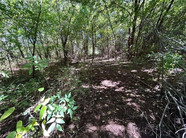 View of local wilderness featuring a wooded view | Image 10