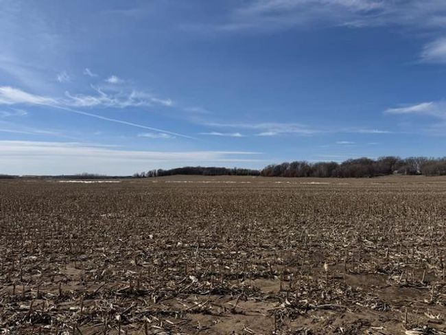 0000 County Road 61, Home with 0 bedrooms, 0 bathrooms and null parking in Browerville MN | Image 10
