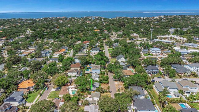 4206 W Palmira Ave, House other with 3 bedrooms, 2 bathrooms and null parking in TAMPA FL | Image 35