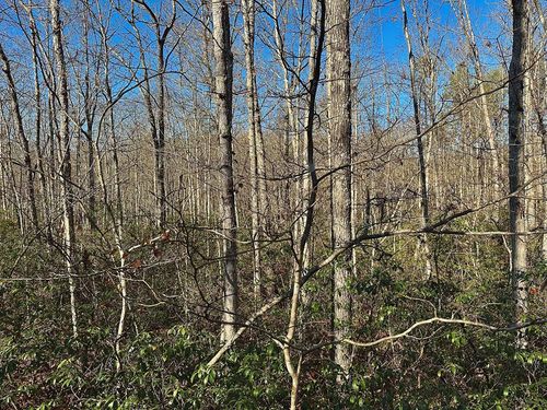 Lot 35 Wilson Ridge Road, Wilder, TN, 38589 | Card Image