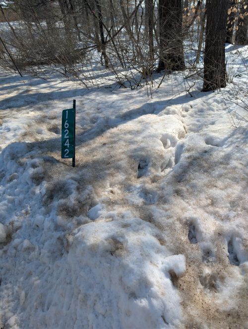 16242 Lake Michigan Dr, West Olive, MI, 49460-9545 | Card Image