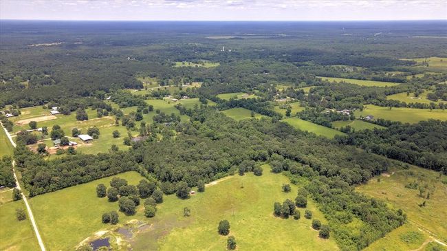 00 Lloyd Fregia Road, Home with 0 bedrooms, 0 bathrooms and null parking in Batson TX | Image 9