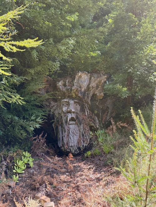 40741 Garcia River Rd, Point Arena, CA, 95468 | Card Image