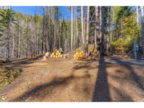 135 E Webber St, Detroit, OR, 97342-1100 | Card Image